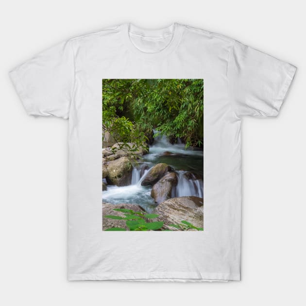 Small waterfall in a forest T-Shirt by likbatonboot